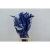 DF Strelitzia Leaf Blue