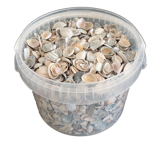 Shells north sea 3 ltr Frosted Blue