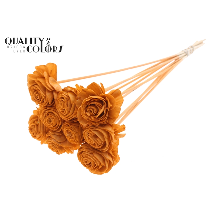 <h4>Shola Beauty Rose 6cm on stem Terracotta</h4>