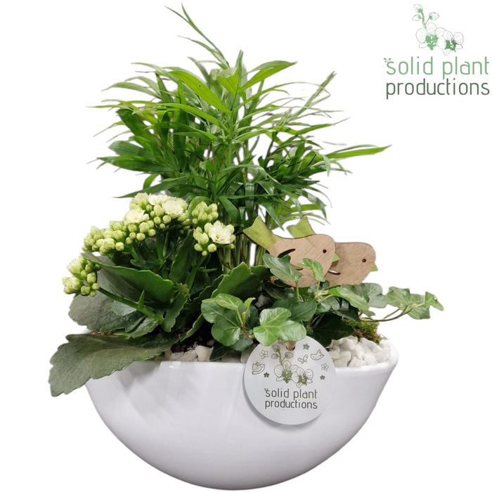 <h4>CH005 Evelyn White</h4>