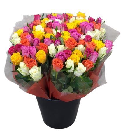 <h4>R Gr Rainbow Mix</h4>