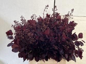 <h4>COTI C ROYAL PURPLE</h4>