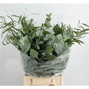 Eucalyptus per bos gemengd