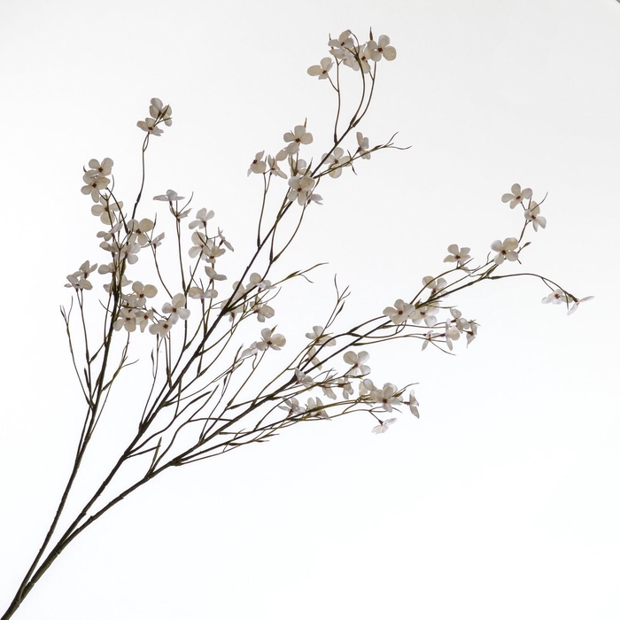 <h4>Blossom Spray Cream FL440295CRM</h4>