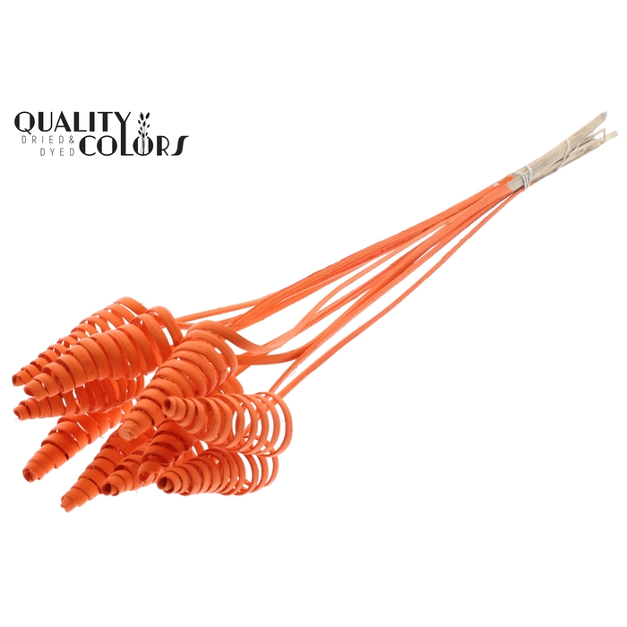<h4>Cane Cone on stem Covered Orange</h4>