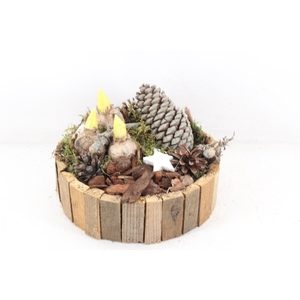 arr4 Hyacint MB - Hout rond latjes x2