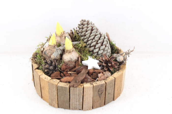 <h4>arr4 Hyacint MB - Hout rond latjes x2</h4>