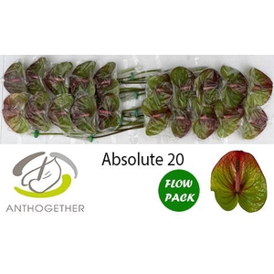 ANTH A ABSOLUTE 20 Flow Pack