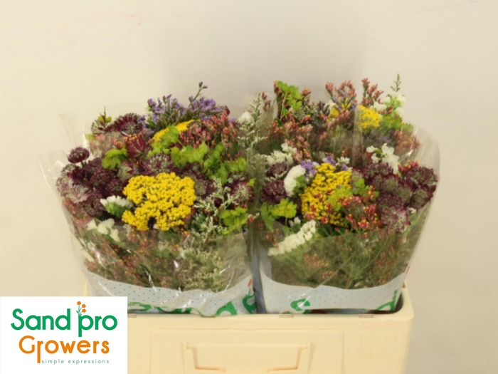 <h4>GEM ZOMERBOEKET</h4>