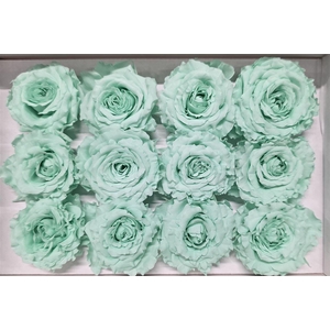 Ro Pres Rom Mini Mint