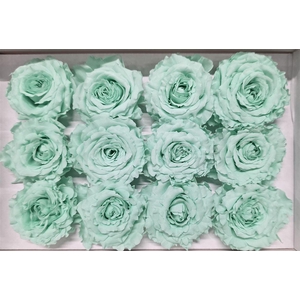 Ro Pres Rom Mini Mint