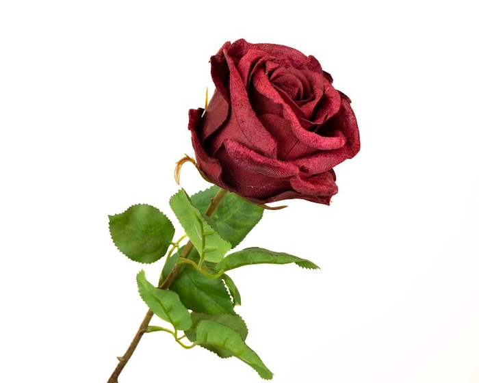 <h4>Rosa Velvet Red Extra</h4>