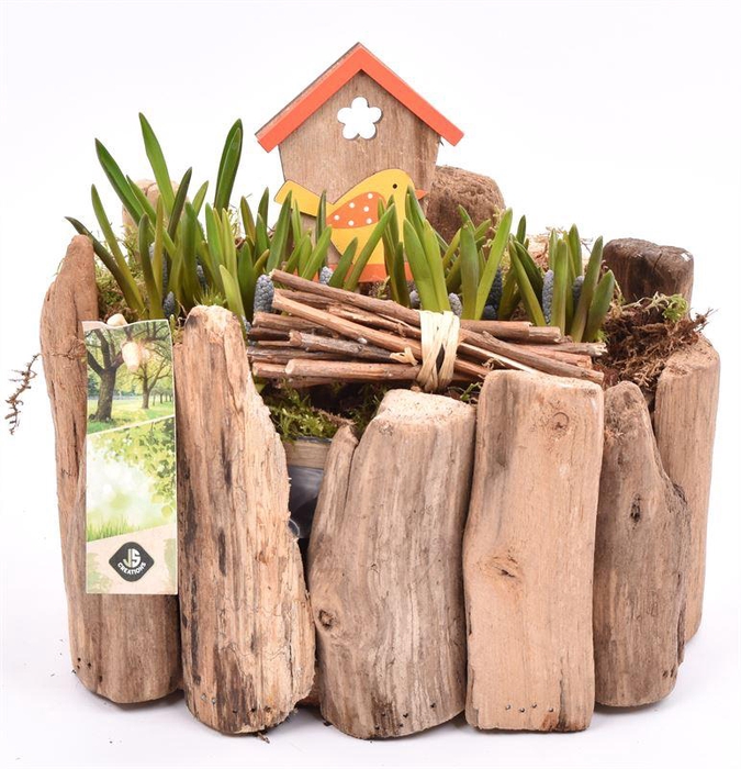 <h4>Druivenhout ovaal 21x14.5cm</h4>