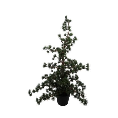 <h4>TREE CEDER H90D50</h4>