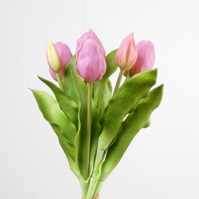<h4>AF Tulip Bundle x7 L31cm Pink</h4>