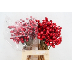 Stick Berries Rose Hips Red