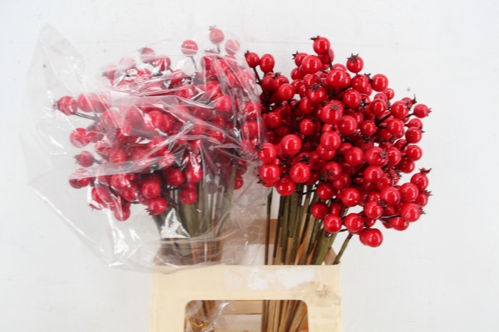 <h4>Stick Berries Rose Hips Red</h4>