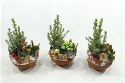 <h4>6486 BOL ZINK ROEST</h4>