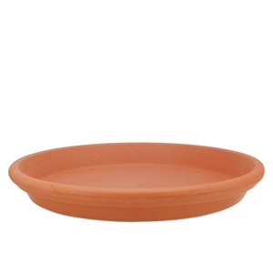 Terracotta Waterdish D42xh5cm Nm