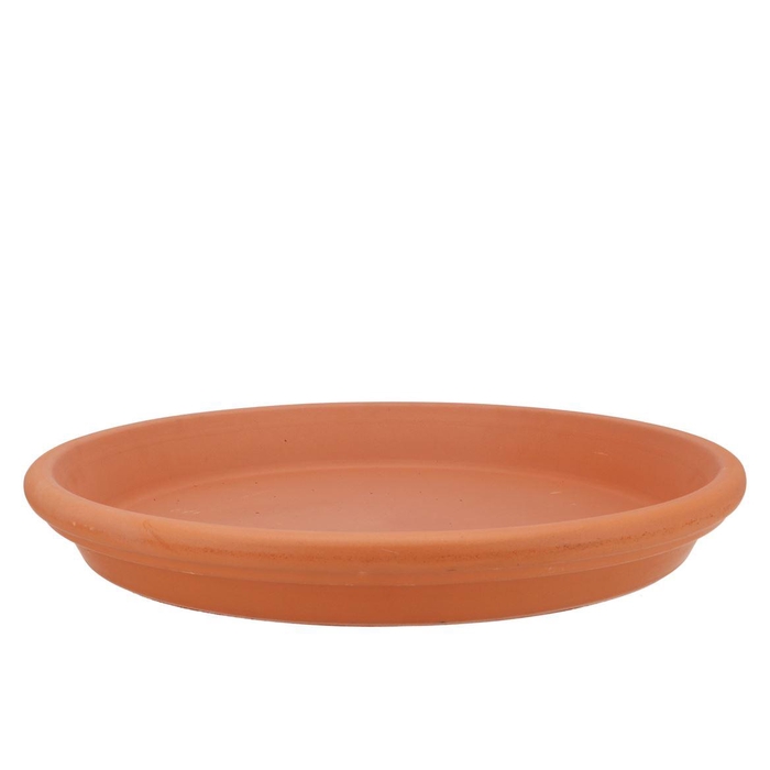<h4>Terracotta Waterdish D42xh5cm Nm</h4>