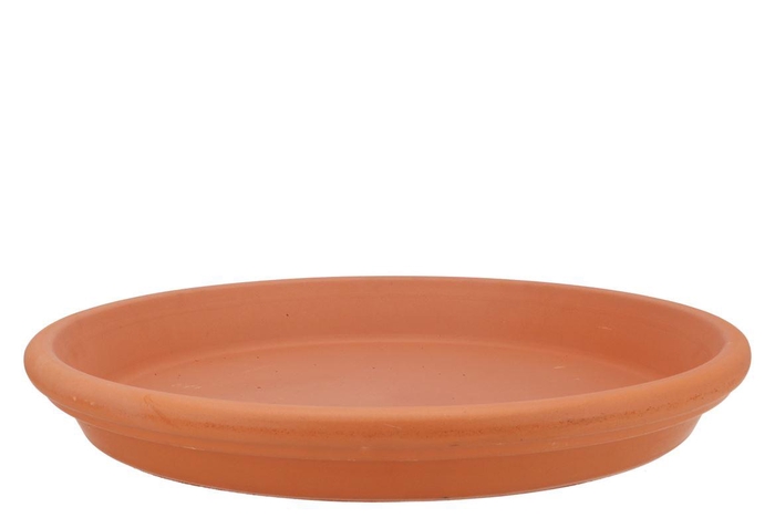 Terracotta Waterdish D42xh5cm Nm