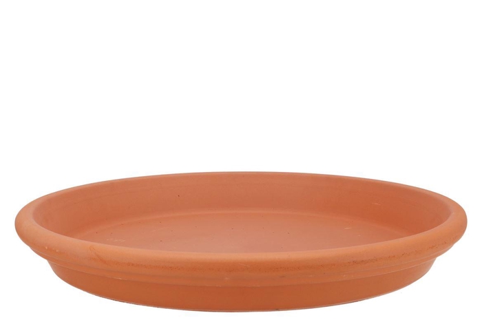 Terracotta Waterdish D42xh5cm Nm