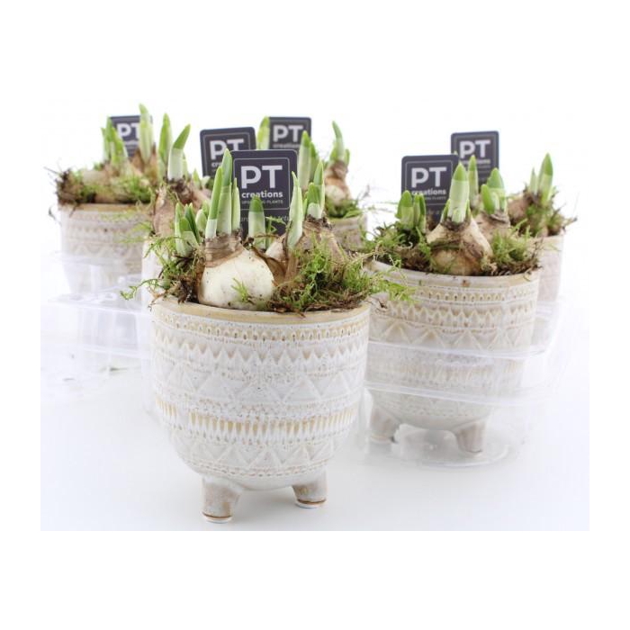 <h4>ARR N TETE A TETE</h4>