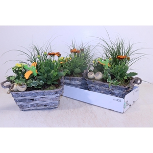ARR TUINPLANTEN