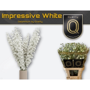 DELPH DU IMPR WHITE 80CM X40
