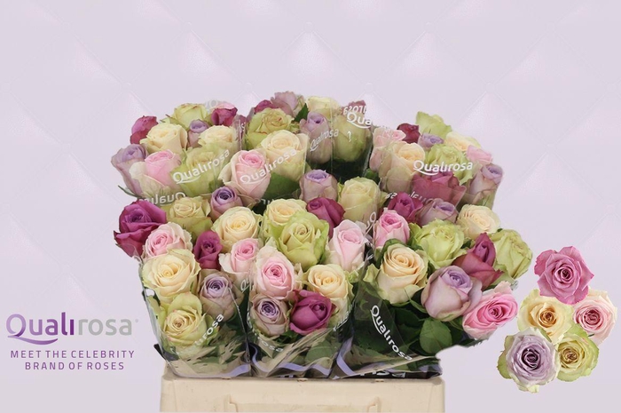 <h4>R Gr Mix Sweet Love</h4>