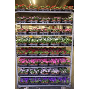 arr8 Verbe Drums Mixk 1 Klr Per Tray