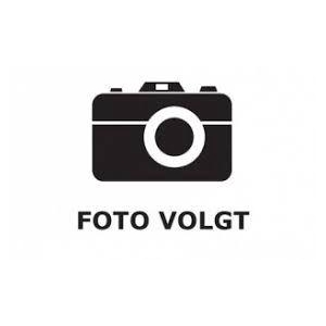 Vriesea Int Peach Geel/Rood Coco