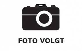 <h4>Vriesea Madonna Roze Coco</h4>