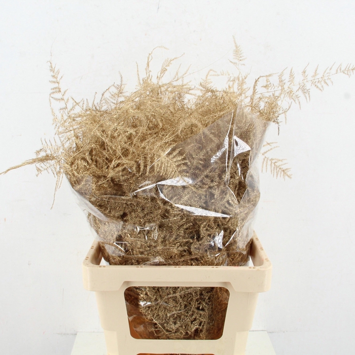 <h4>ASP OV KLB H%</h4>