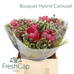 Bouquet Hybrid Carousel