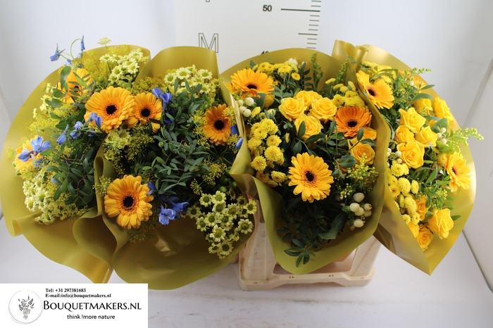 <h4>GEM BOEKET OV</h4>