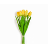 TULIPA AMARELO