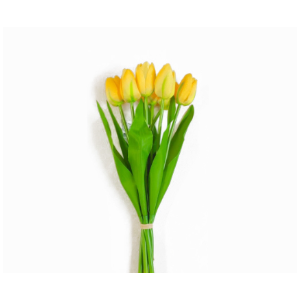 TULIPA AMARELO