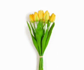 <h4>TULIPA AMARELO</h4>