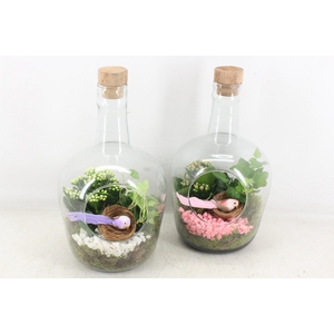 arr2 PL - Glas fles met dop 285/5 - roze/wit