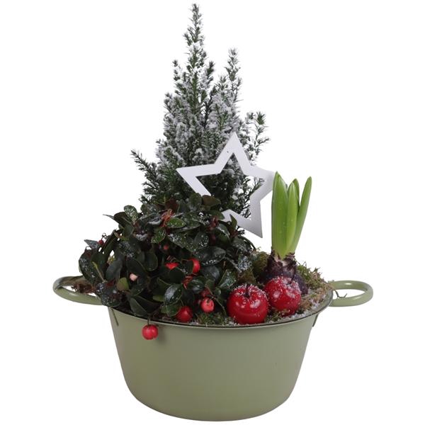 <h4>Winter Arr. Outdoor Zinc Bowl With Handles Green Ø22cm 3PP</h4>