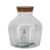 Glas Eco terrarium Dean d09/24*25cm