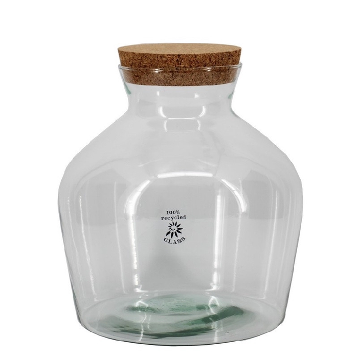 <h4>Glass Eco terrarium Dean d09/24*25cm</h4>