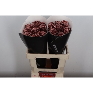 Wax-Rozen Wax Koper w21