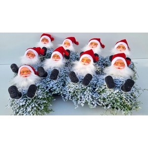 Soleirolia soleirolii   ...green