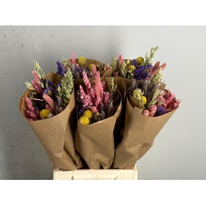 DF Bouquet 50cm Dutch Multi