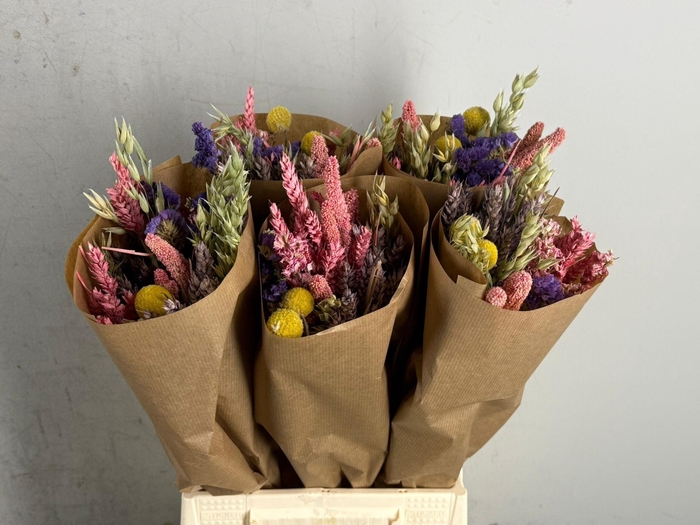 DF Bouquet 50cm Dutch Multi