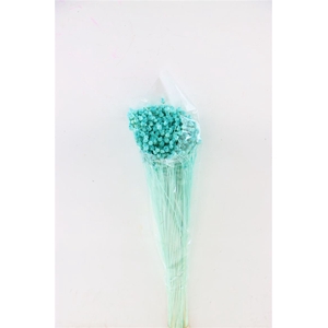 Pres Jazilda Aqua Blue Bunch