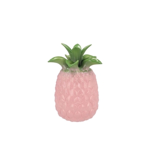 Pineapple Tropical Pink Vase 16x16x22cm Nm