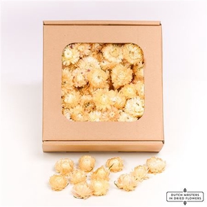 Dried Helichrysum Heads White Box